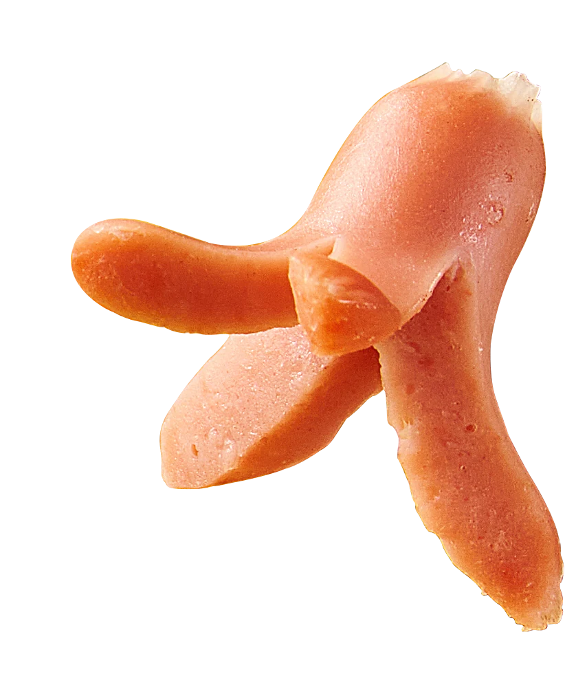 Sausage